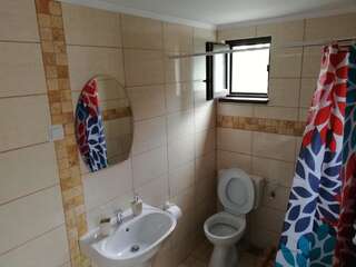 Гостевой дом Vila Hera Эфорие-Суд Двухместный номер с 1 кроватью и собственной ванной комнатой-3